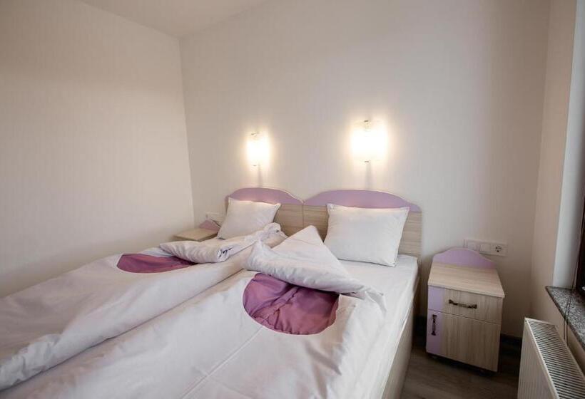 １ベッドルームアパートメント, Guest House Panorama