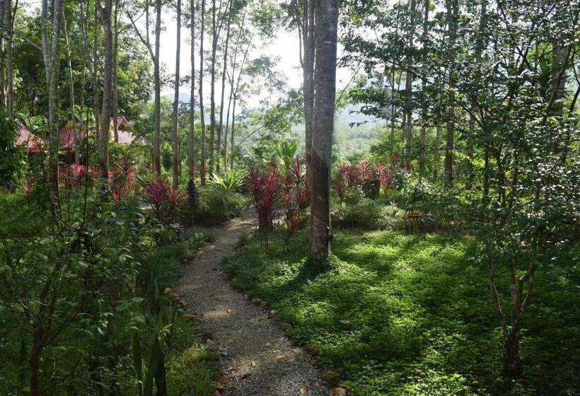 Deluxe Værelse Haveudsigt, Manora Garden
