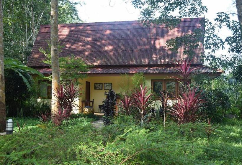 ガーデンビューデラックスルーム, Manora Garden