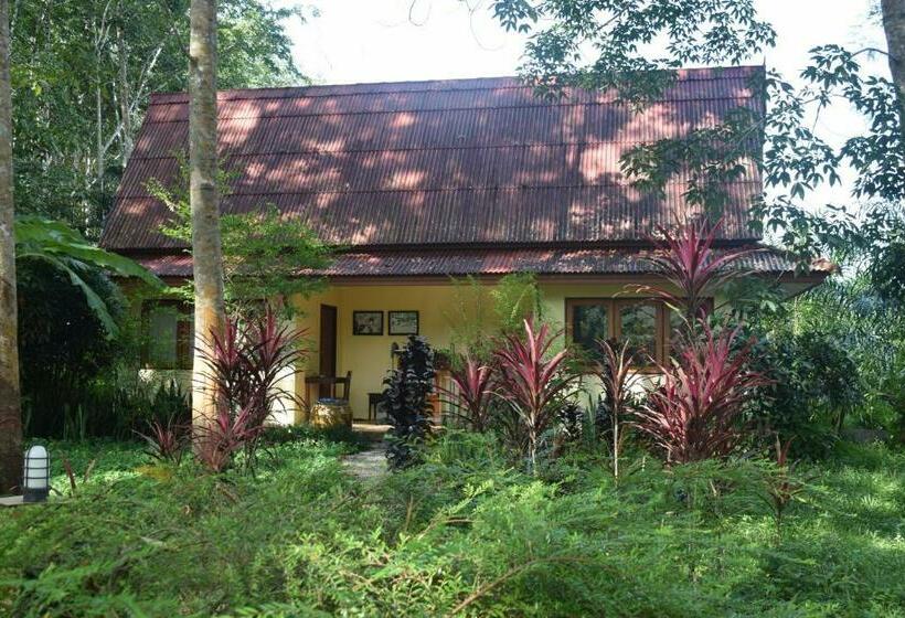 Номер Стандарт Вид на Сад, Manora Garden