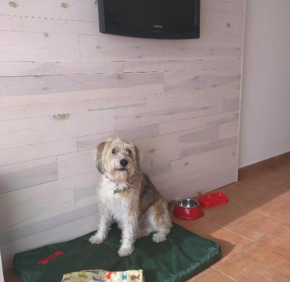 آپارتمان 1 خوابه, Apartaments B Llobet Sun & Confort