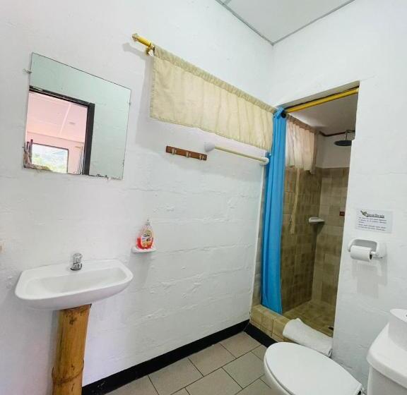 스탠다드 싱글 룸, Hostal Darwin B&b