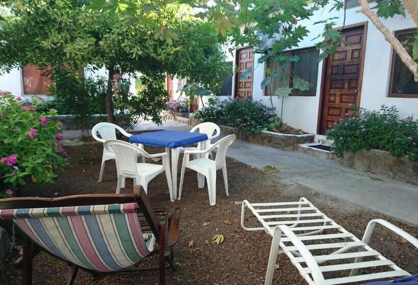 스탠다드 싱글 룸, Hostal Darwin B&b