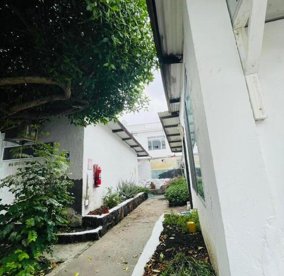 스탠다드 싱글 룸, Hostal Darwin B&b