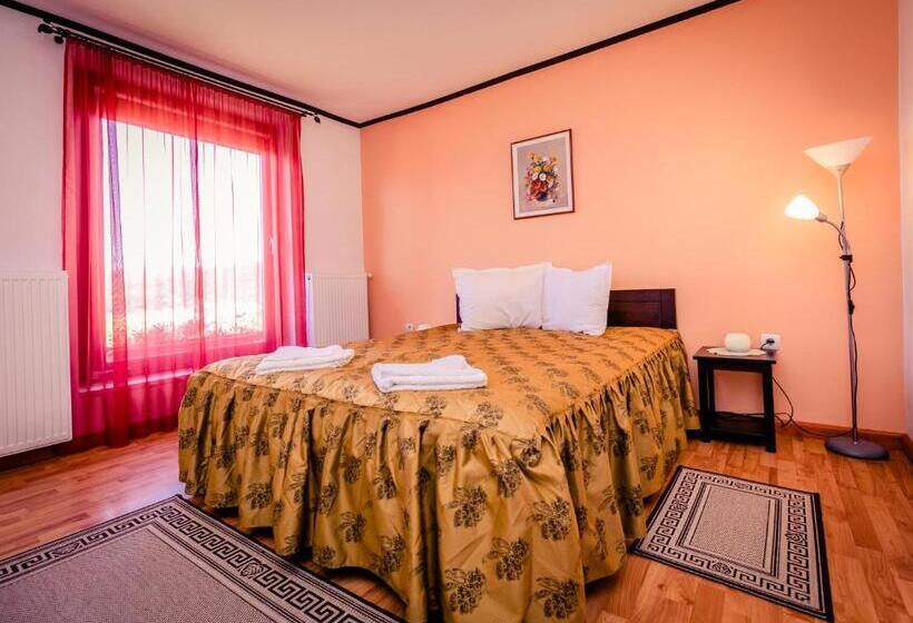 اتاق لوکس با چشم‌انداز, Panorama Guesthouse