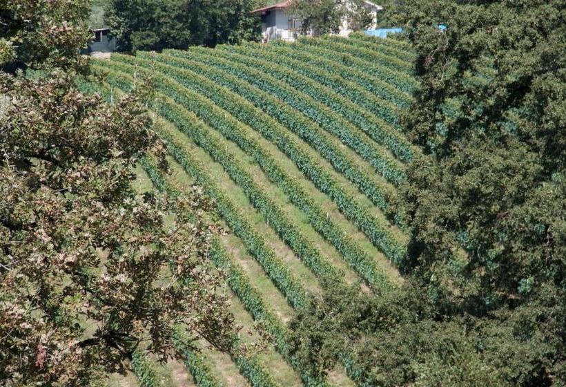 חדר סטנדרט עם מיטת קינג, Palazzo Tronconi