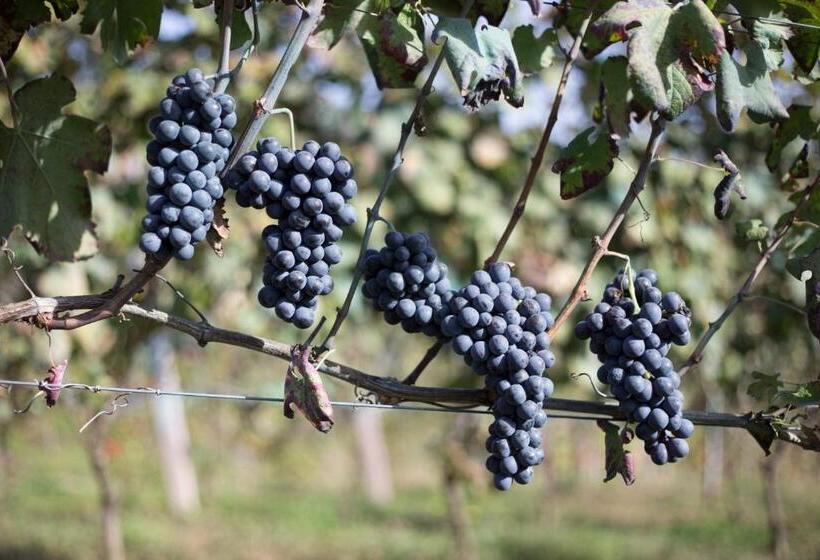 חדר סטנדרט נוף לעיר, Palazzo Tronconi