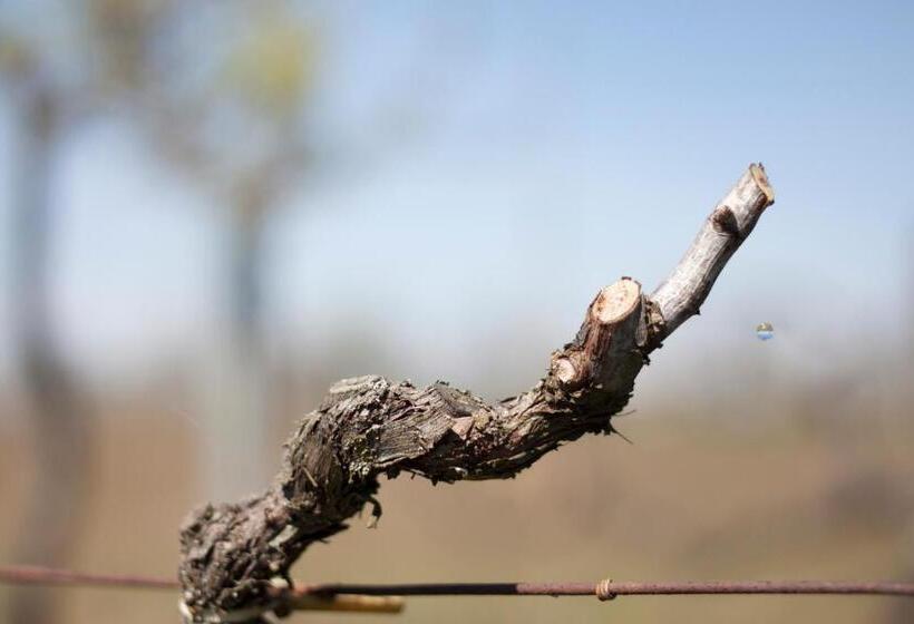 חדר סטנדרט נוף להרים, Palazzo Tronconi