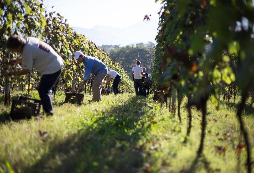חדר סטנדרט נוף להרים, Palazzo Tronconi