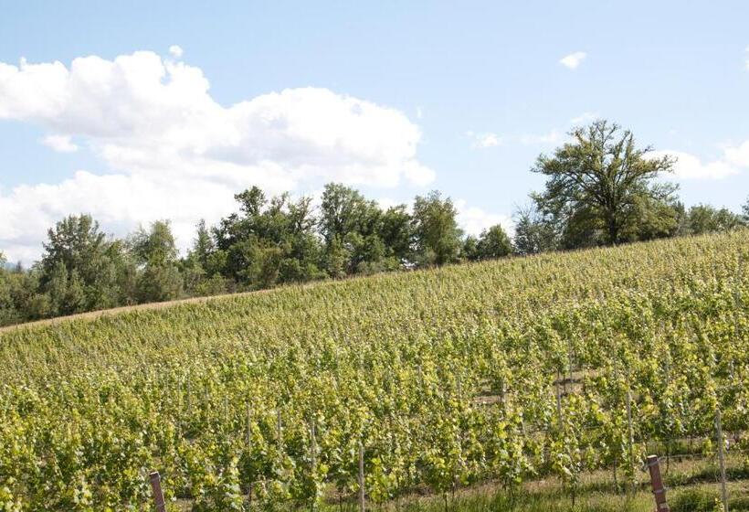 חדר סטנדרט, Palazzo Tronconi