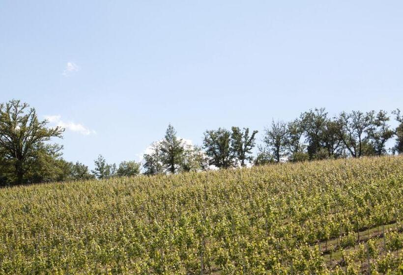 Standard room with outdoor bath, Palazzo Tronconi