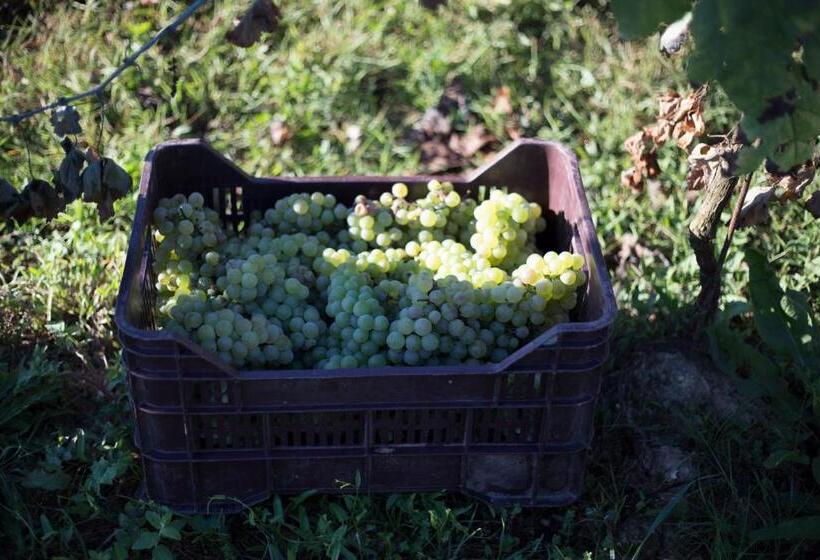 סוויטת סופריור, Palazzo Tronconi