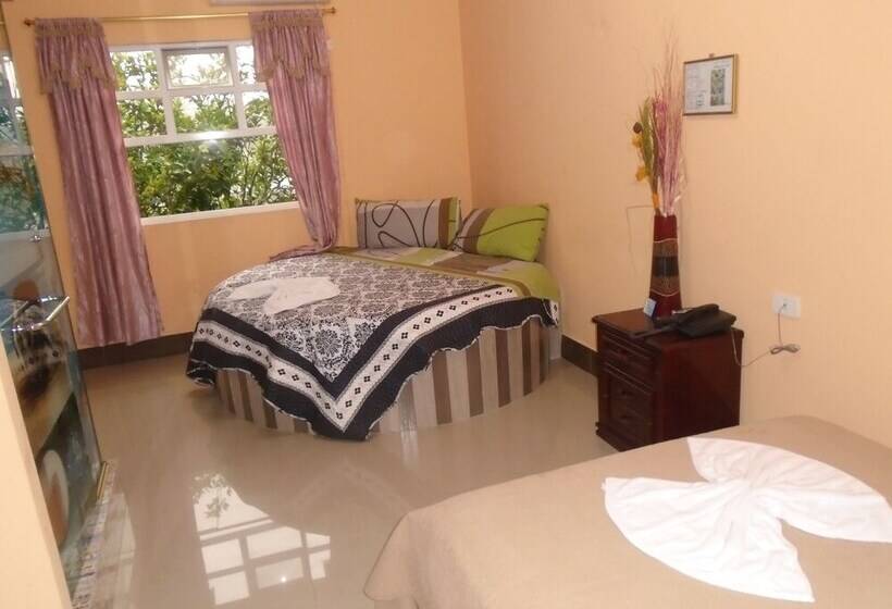 标准间, Platinum Class