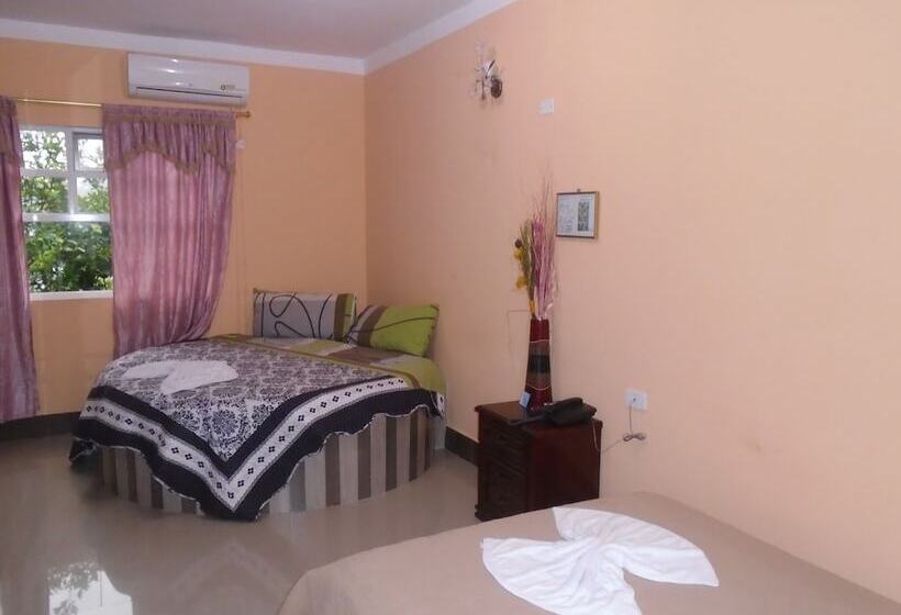 标准间, Platinum Class