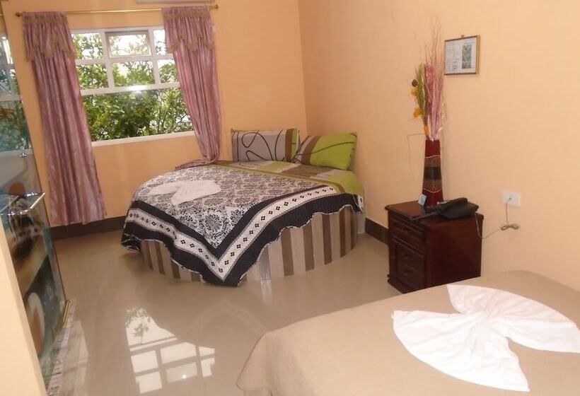 标准间, Platinum Class