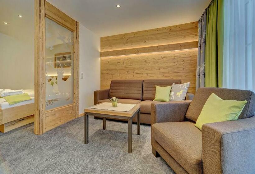 Апартаменты 1 Спальня, Appart Hotel Wildererstuben