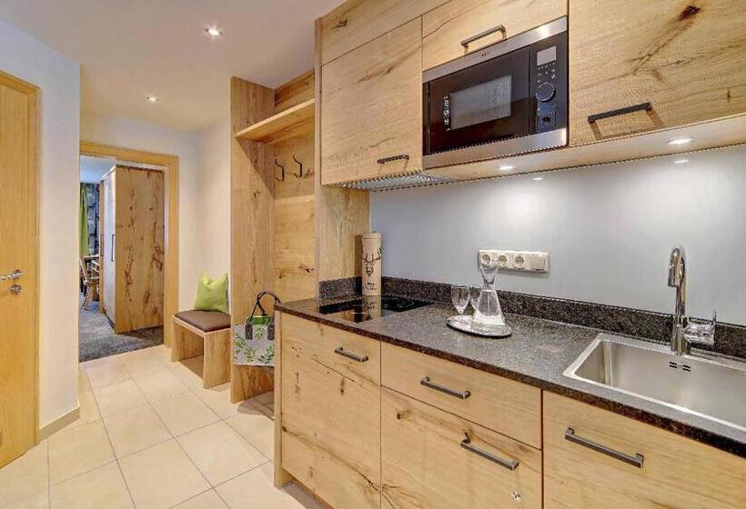 Апартаменты Комфорт 1 Спальня, Appart Hotel Wildererstuben