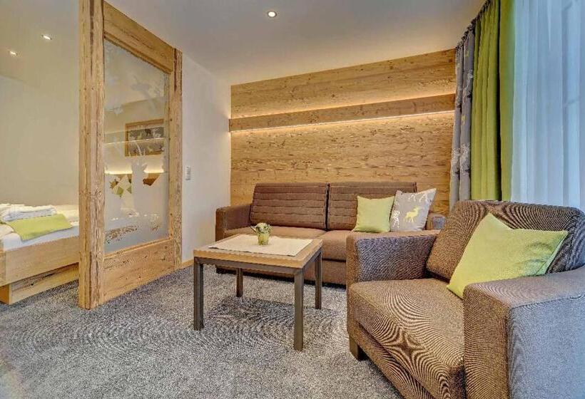 Апартаменты Комфорт 1 Спальня, Appart Hotel Wildererstuben