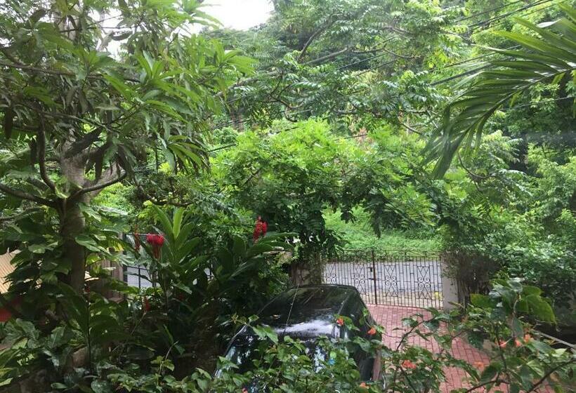 اتاق استاندارد با چشم‌انداز باغ, Drapers San Guest House