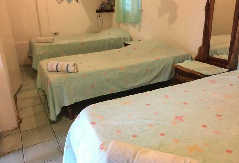 اتاق استاندارد سه نفره, Drapers San Guest House