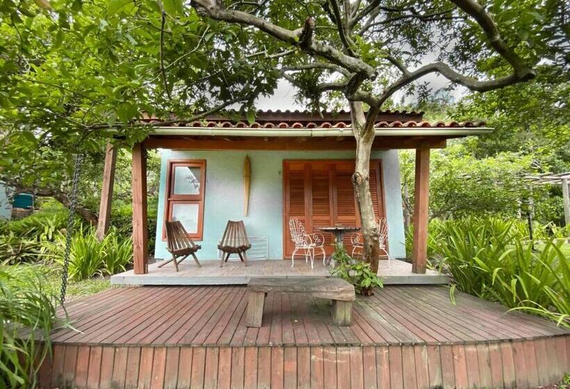 بنجلو ديلوكس, Morada Das Bromelias