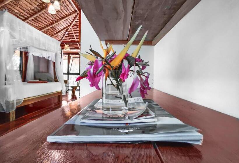 اتاق خانوادگی, Nature Hill