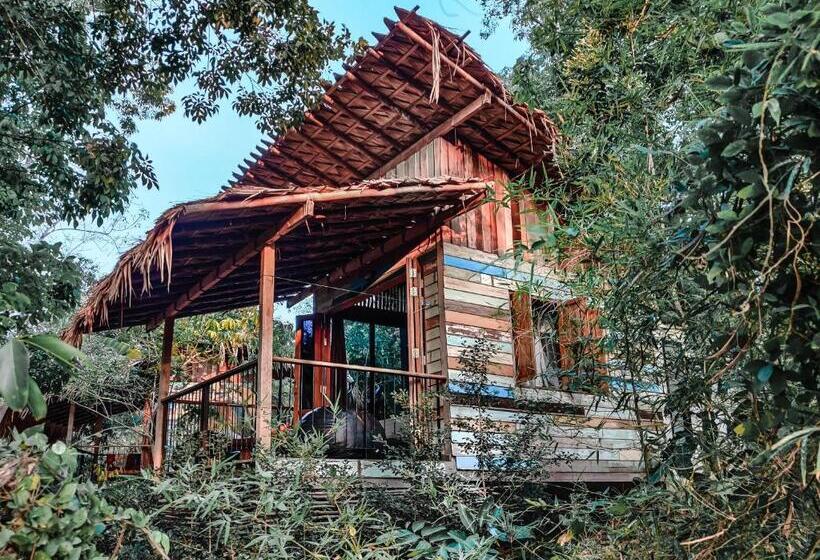 اتاق لوکس, Nature Hill