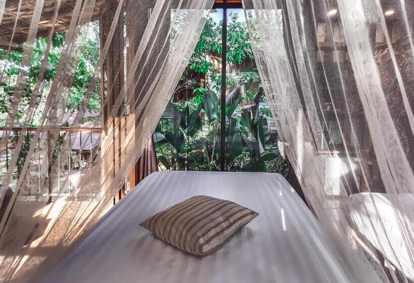 اتاق لوکس, Nature Hill