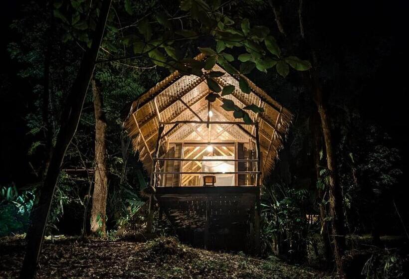 اتاق استاندارد, Nature Hill