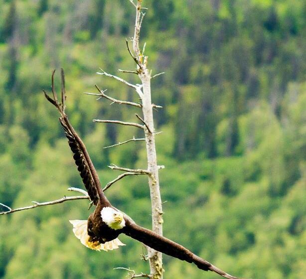 غرفة قياسية ثلاثية, Eagle Peak Guesthouse