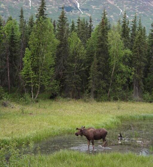 غرفة قياسية ثلاثية, Eagle Peak Guesthouse