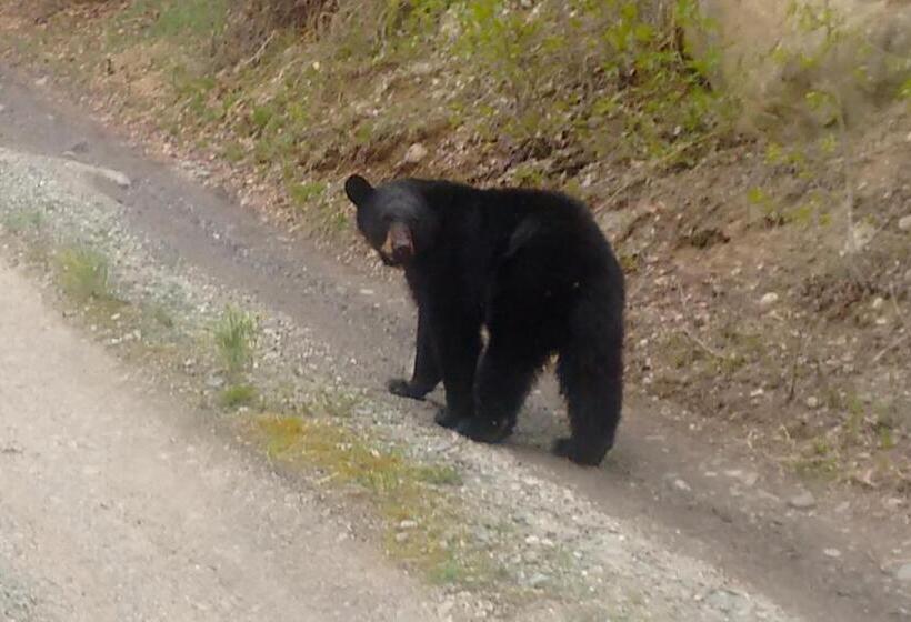 غرفة ديلوكس ثلاثية, Eagle Peak Guesthouse