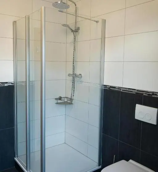 Standard Yhden Hengen Huone, Zur Krone Leimen