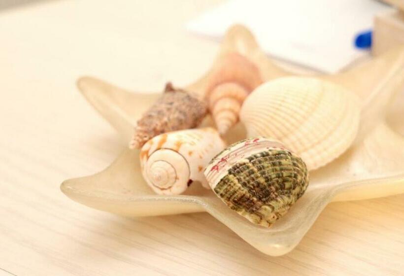 スタンダードルーム, B&b I 100 Passi