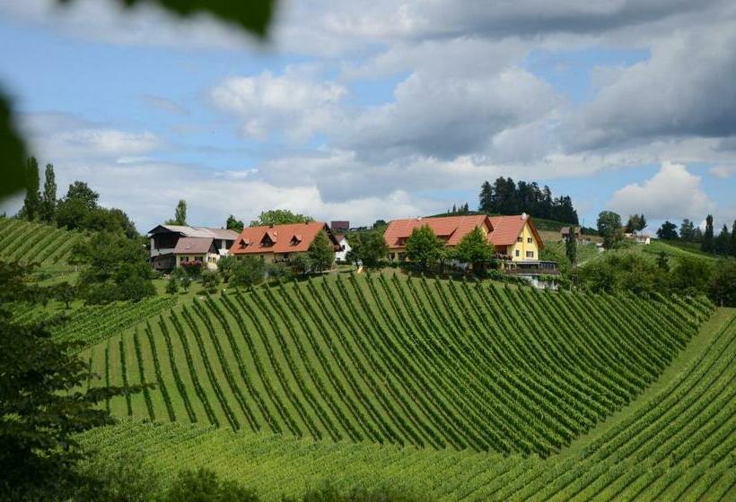 Camera Standard, Weingut Fellner