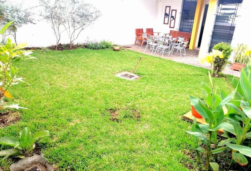 חדר סטנדרט יחיד, 7