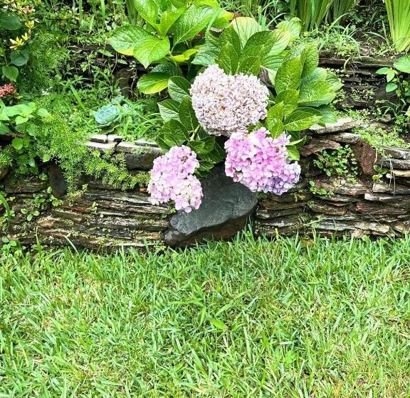 חדר קומפורט לשלושה, 7