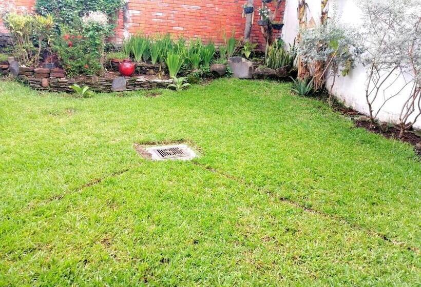 חדר קומפורט לשלושה, 7