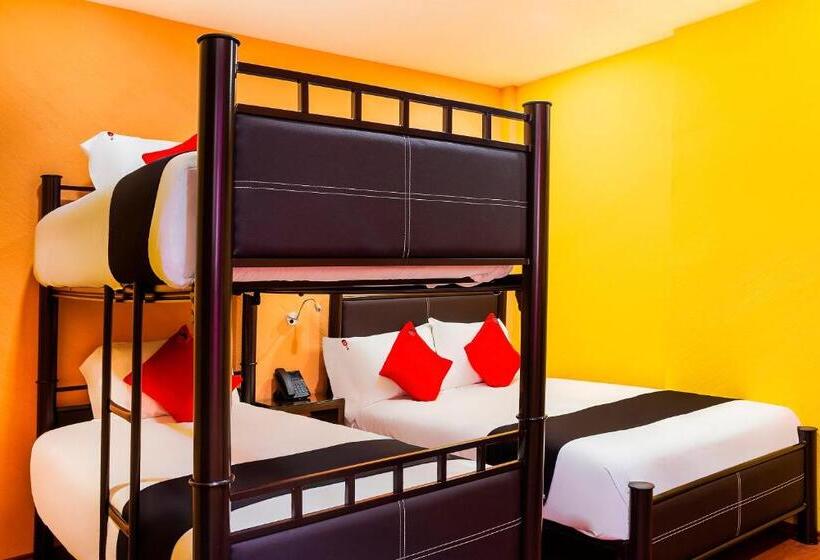 패밀리 룸, Capital O Df Inn