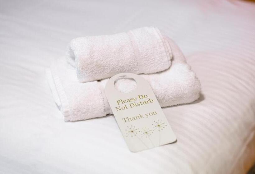 标准单人间, The Venue Serviced Apartments