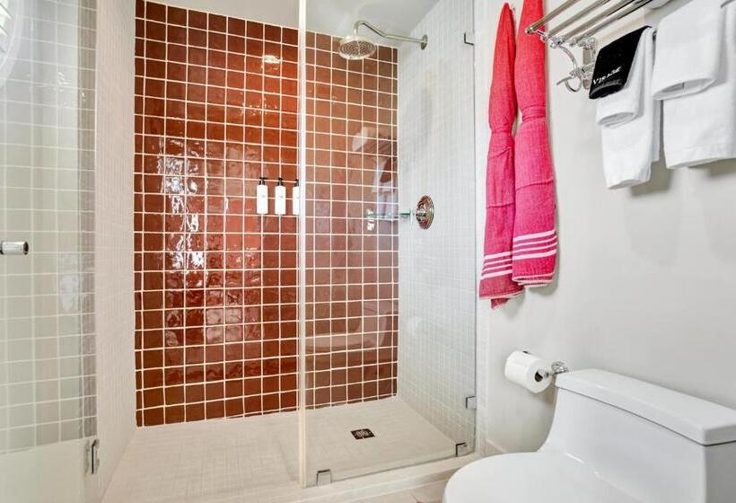 豪华房间, Trouvail Miami Beach