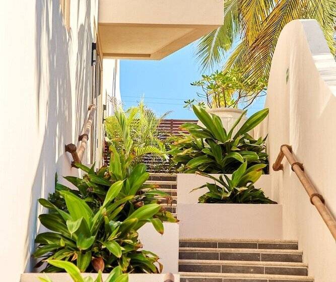 اتاق لوکس با چشمانداز باغ, Basalto