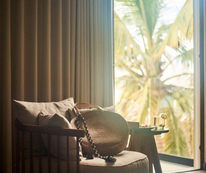 اتاق لوکس با چشمانداز باغ, Basalto