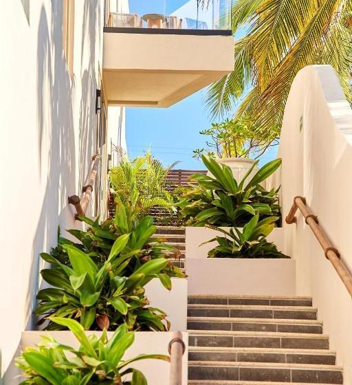 اتاق لوکس با چشمانداز باغ, Basalto