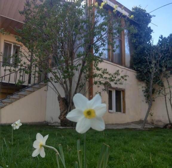 اتاق لوکس با بالکن, Popock City Center