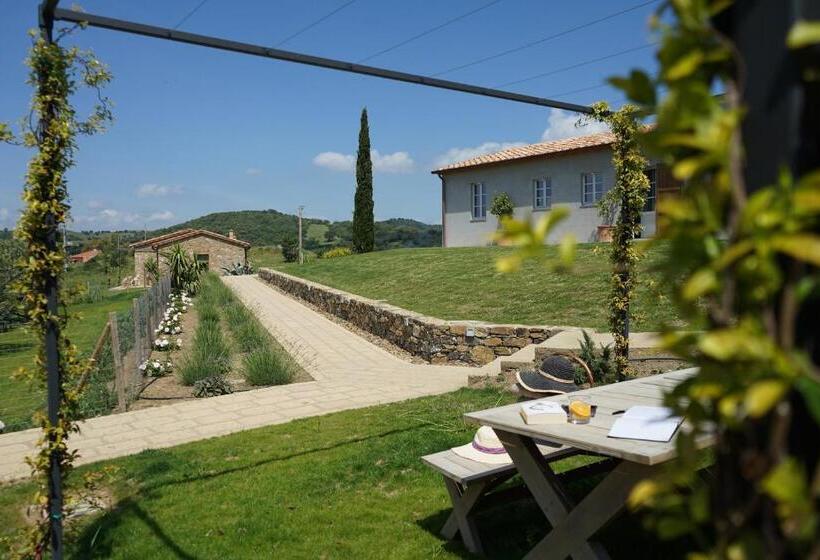 شقة غرفة واحدة, Marrucheti 82