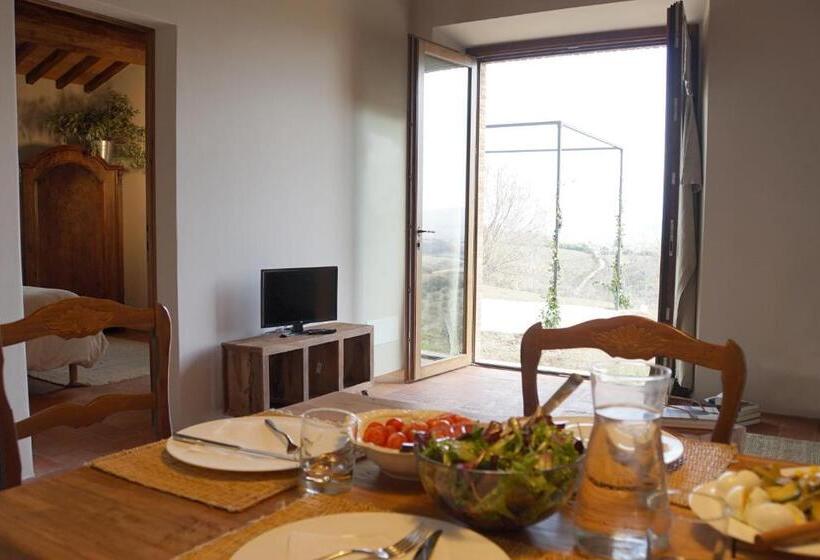 شقة غرفة واحدة, Marrucheti 82