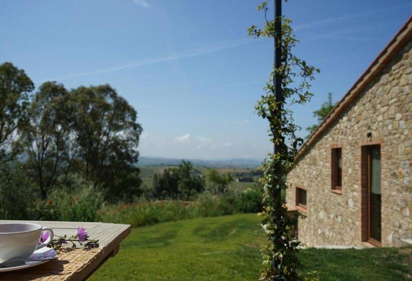 شقة غرفة واحدة, Marrucheti 82