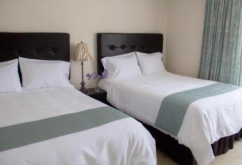 スタンダードルーム, Nube Nueve