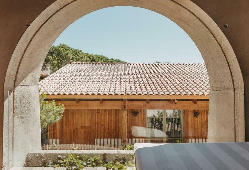 اتاق سوپریور, Lily Of The Valley